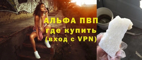сатива Аркадак