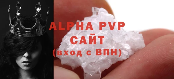 сатива Аркадак