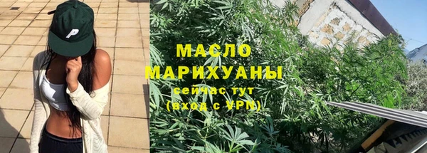 сатива Аркадак