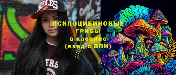 дмт Арсеньев