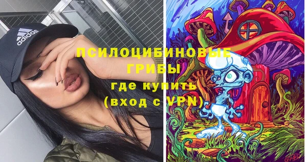 сатива Аркадак