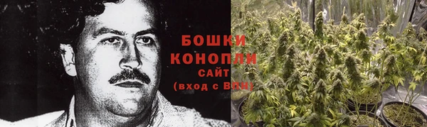 дмт Арсеньев