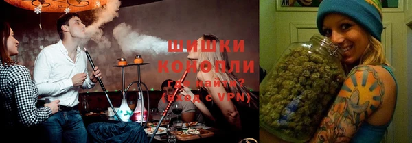 дмт Арсеньев