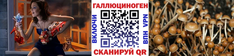 Галлюциногенные грибы GOLDEN TEACHER  hydra зеркало  Павловский Посад 